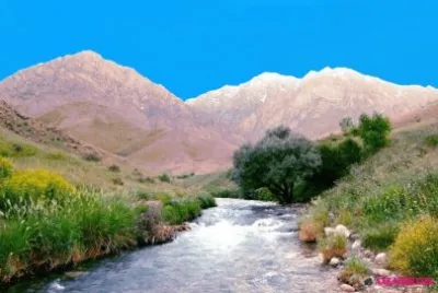 NATUREZA
