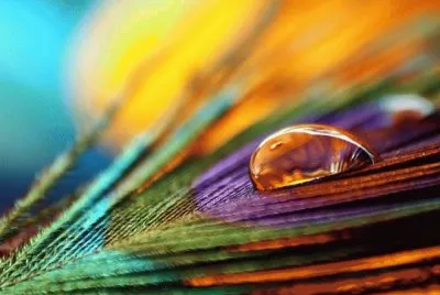 Bunt