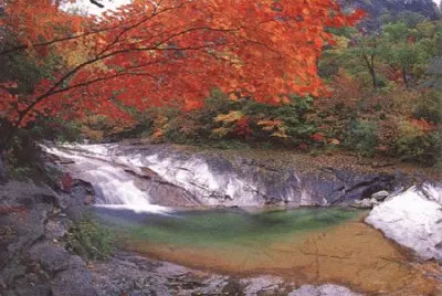 NATUREZA