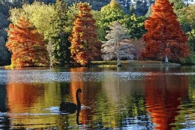 (29) Paisagem
