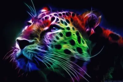 TIGRE