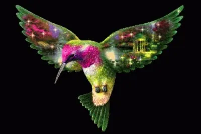 COLIBRI