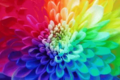 Bunt