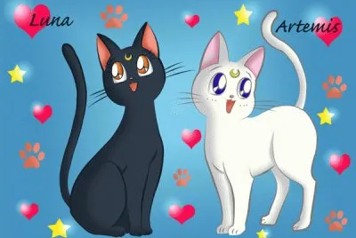 bellezas