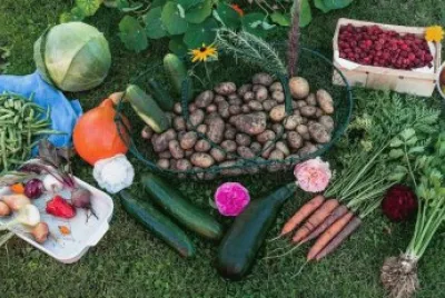 Fresh Garden Vegetables
