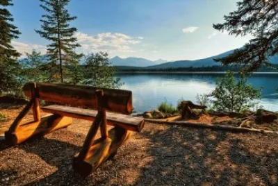 todo paisaje