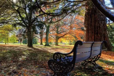 serenidad jigsaw puzzle