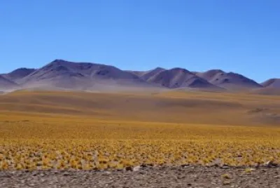 A la vera de la RN 60. Catamarca. Argentina