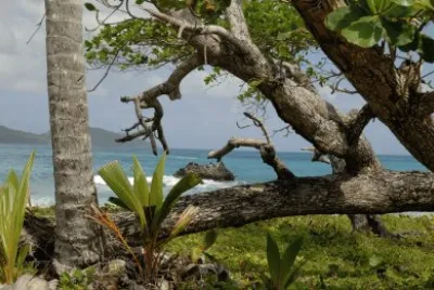 caribe