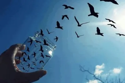 libertad