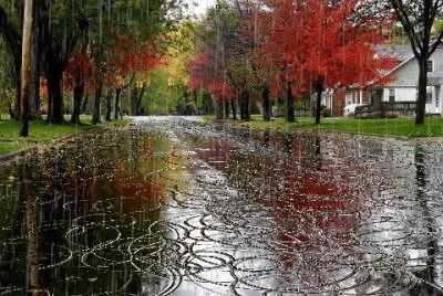lluvia jigsaw puzzle