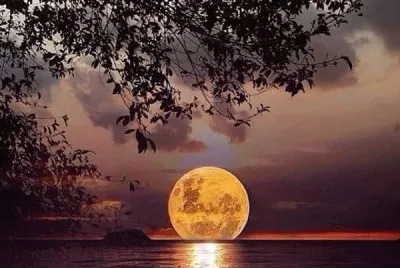 luna-lunera