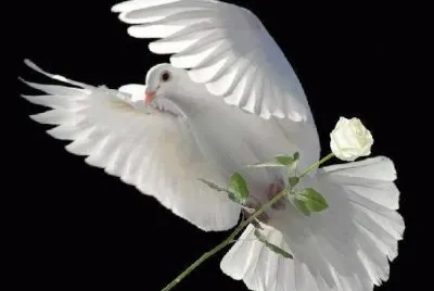paz