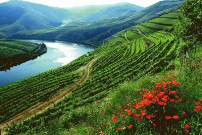 imagens jigsaw puzzle