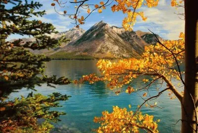 imagens jigsaw puzzle