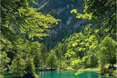 todo paisaje jigsaw puzzle