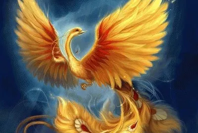 FENIX