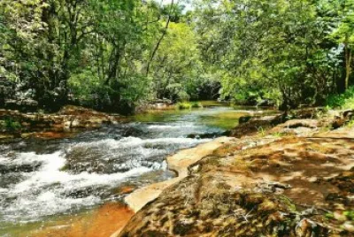Arroyo CoatÃ­. Misiones. Argentina jigsaw puzzle