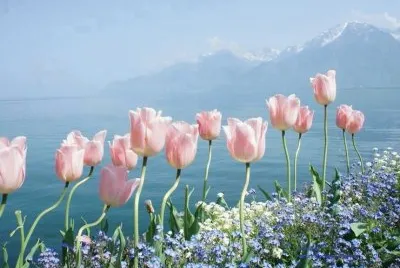 (85) Flores jigsaw puzzle