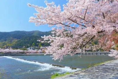 (90) Paisagem jigsaw puzzle