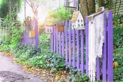 Vintage Purple Fence