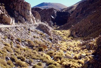 A la vera de la RP 129. Salta. Argentina jigsaw puzzle