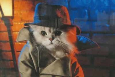 פאזל של GatoDetective