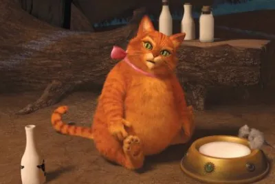 Gato Con Botas Gordo