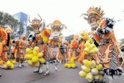 leones 2012 jigsaw puzzle