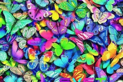 Bunt