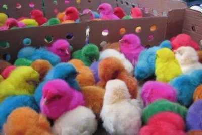 Bunt