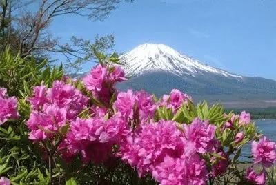 (100) Paisagem jigsaw puzzle