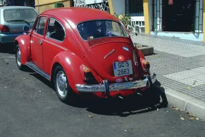 escarabajo Schamann