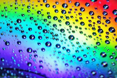 Bunt