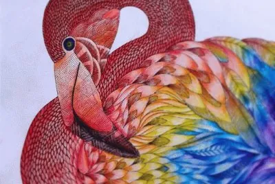 Colored Bird