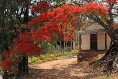 coisas e imagens antigas