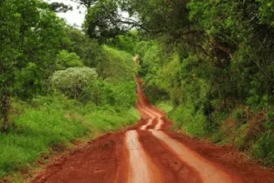 En la Provincia de Misiones. Argentina