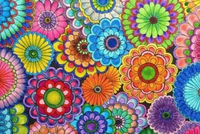 Beautiful  Flowers