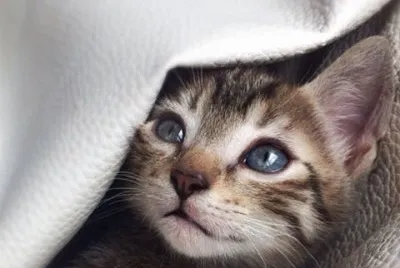 â™¥