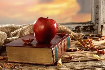 Libro , lectura , disfrutar !!!!