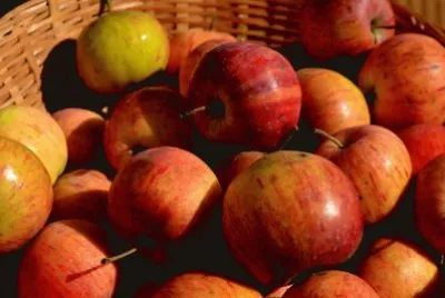 Apple Basket jigsaw puzzle