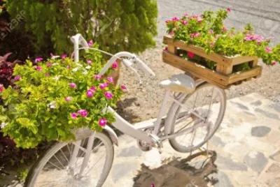 Bicicletas y mas bicicletas !!!!!!!!!!