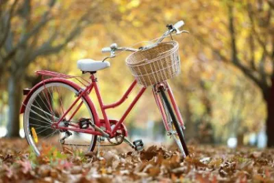 Bicicletas y mas bicicletas !!!!!!!!!!