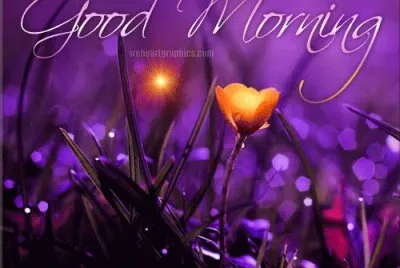 Beautiful Good Morning Buttercup