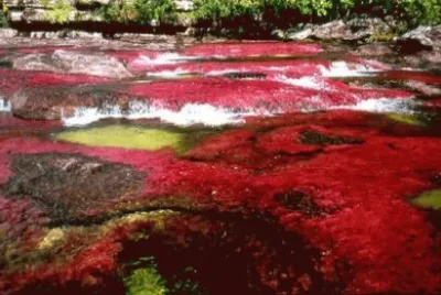 paisaje 20