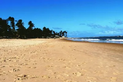 פאזל של Praia do Forte. Salvador de Bahia