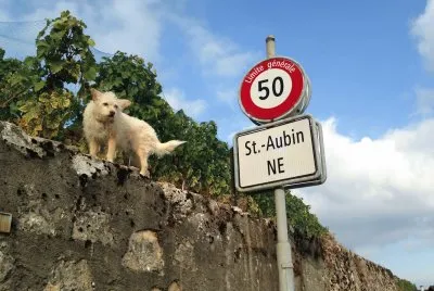 La SecuritÃ©