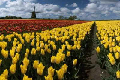 פאזל של paisaje