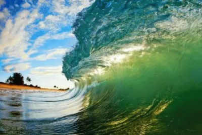 !!!!! Fuerza Natural !!!!