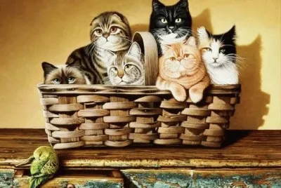 puzzle